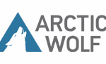 Arctic Wolf